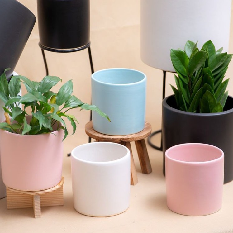 sỉ chậu cây cảnh để bàn