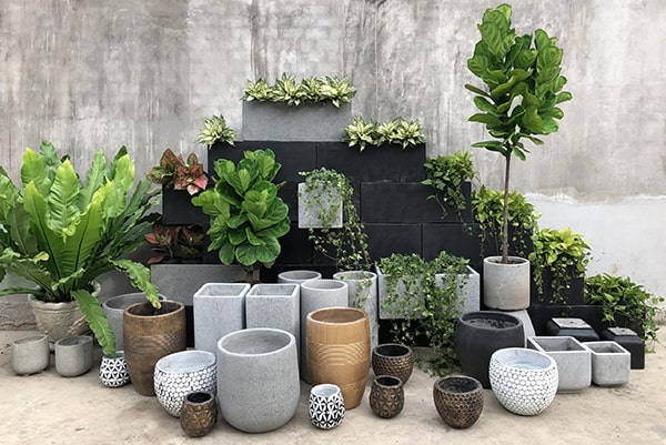 nguồn hàng sỉ chậu cây cảnh