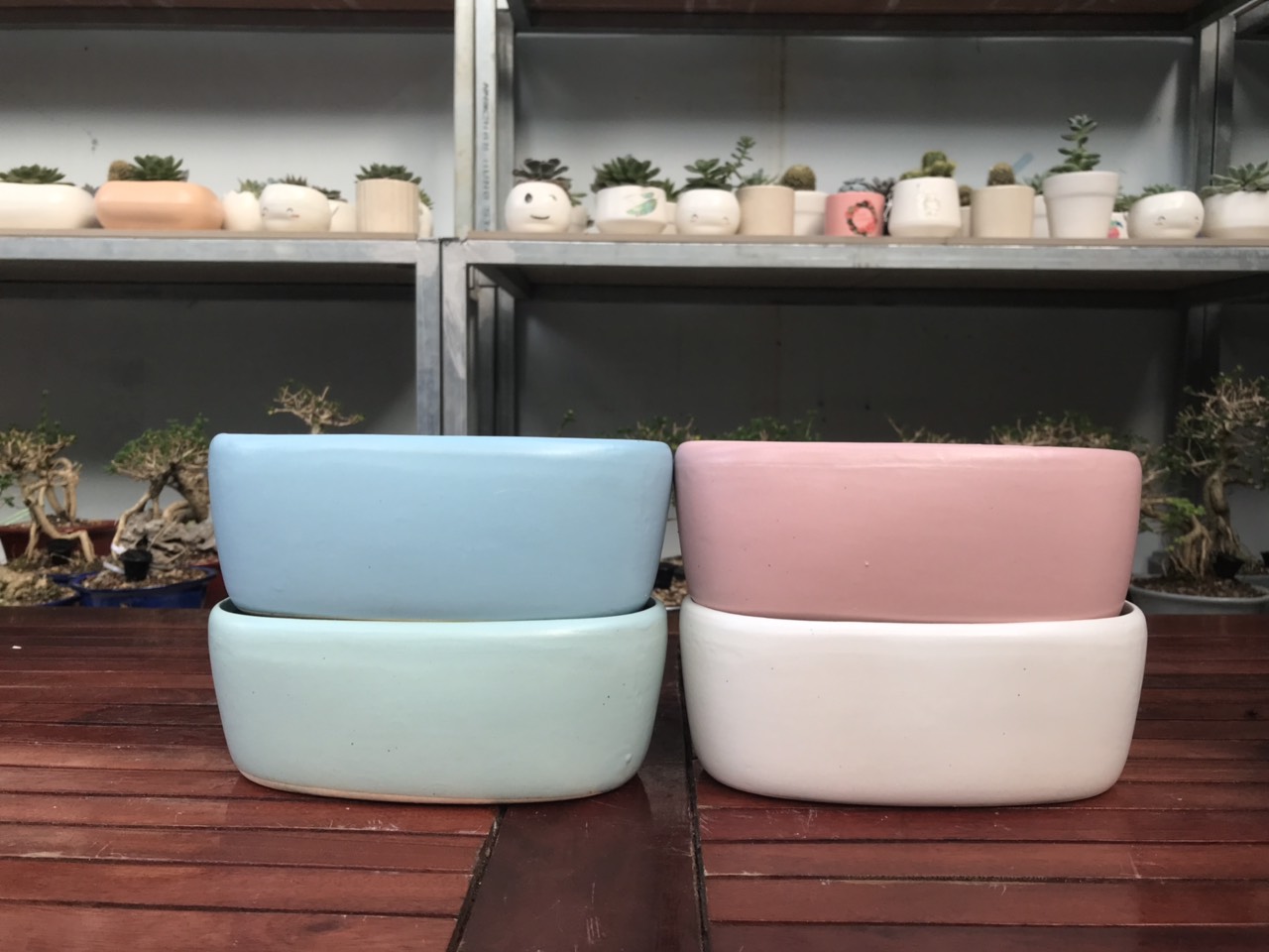 Nguồn hàng sỉ chậu cây cảnh mini để bàn tại tphcm