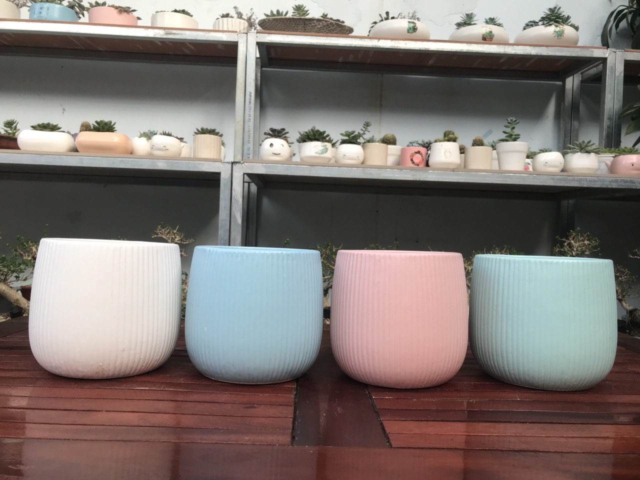 Nguồn hàng sỉ chậu cây cảnh mini để bàn tại tphcm