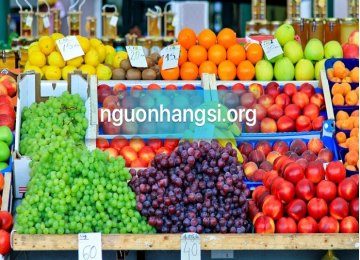 -nguon-hang-si-trai-cay-nhap-khau-tim-tong-kho-cung-cap-si-vua-trai-cay-nhap-khau-tai-tphcm