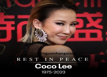 tieu-su-coco-lee-dam-tang-coco-lee